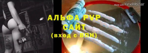 гашик Арсеньев