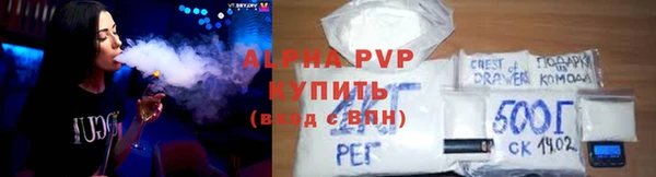 гашик Арсеньев