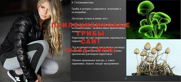 гашик Арсеньев