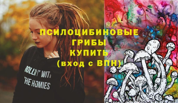 гашик Арсеньев
