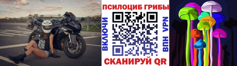 как найти закладки  Тутаев  Галлюциногенные грибы Magic Shrooms 